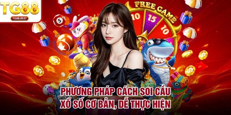 Phương pháp cách soi cầu xổ số cơ bản, dễ thực hiện